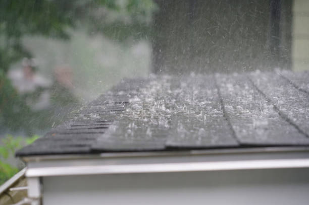 Best Emergency Roof Repair Services  in Temple Hills, MD