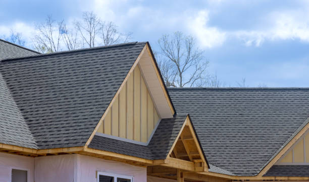 Best Roof Coating and Sealing  in Temple Hills, MD